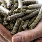 Evertree green chemistry solutions